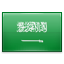 Saudi Riyals