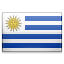 Uruguayan Pesos