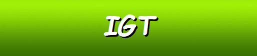 IGT Software Casinos