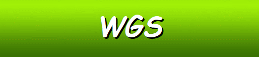 WGS Software Casinos