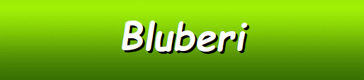 Bluberi Software Casinos