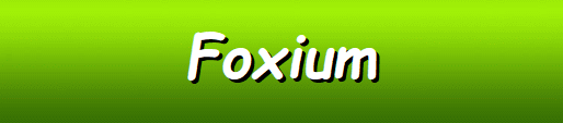Foxium Software Casinos