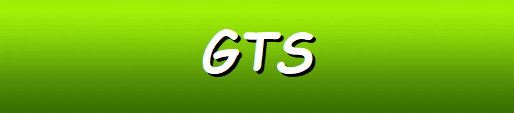 GTS Software Casinos