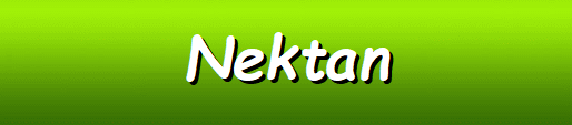 Nektan Software Casinos