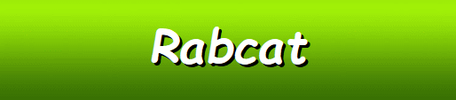 Rabcat Software Casinos