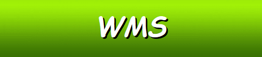 WMS Software Casinos